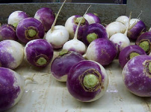 Turnips